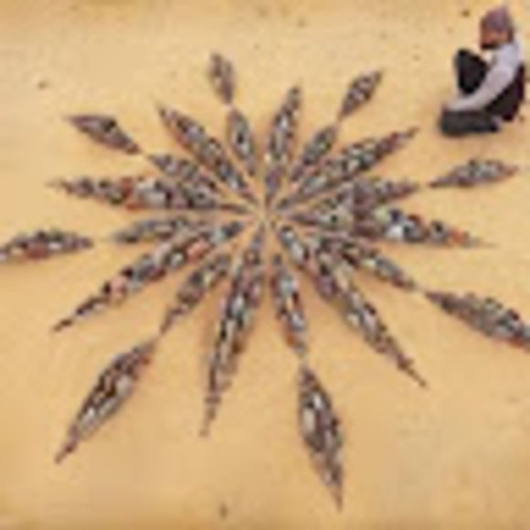 Meet your Posher, Ember - Picture 1 of 1